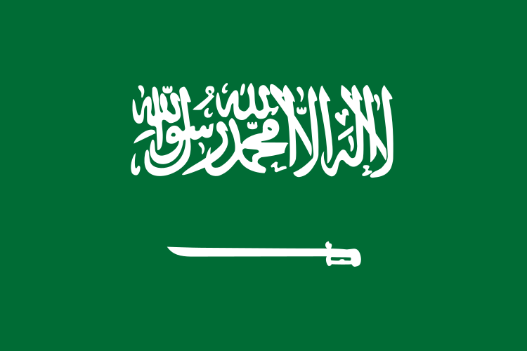  معلومات عن المملكة العربية السعودية