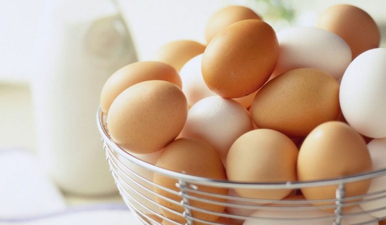 نسبة البروتين في البيض 